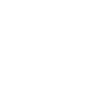 icono coche